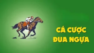 Đua Ngựa 8DAY: Khám Phá Thế Giới Cá Cược Đầy Kịch Tính