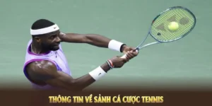 Sức Hút Bí Ẩn Của Cá Cược Quần Vợt 8DAY: Khám Phá Ngay!